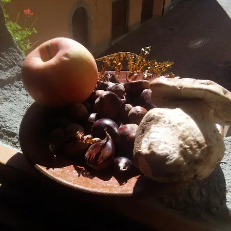 住宿加早餐酒店 Fiume Bianco